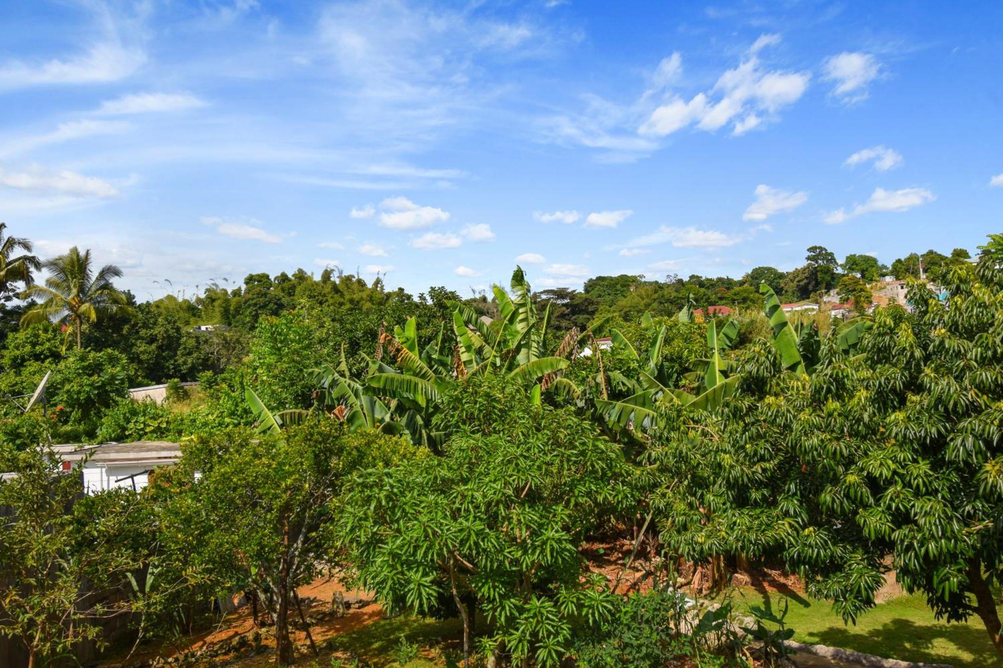 Harriott Heights Apartment Mandeville Bagian luar foto