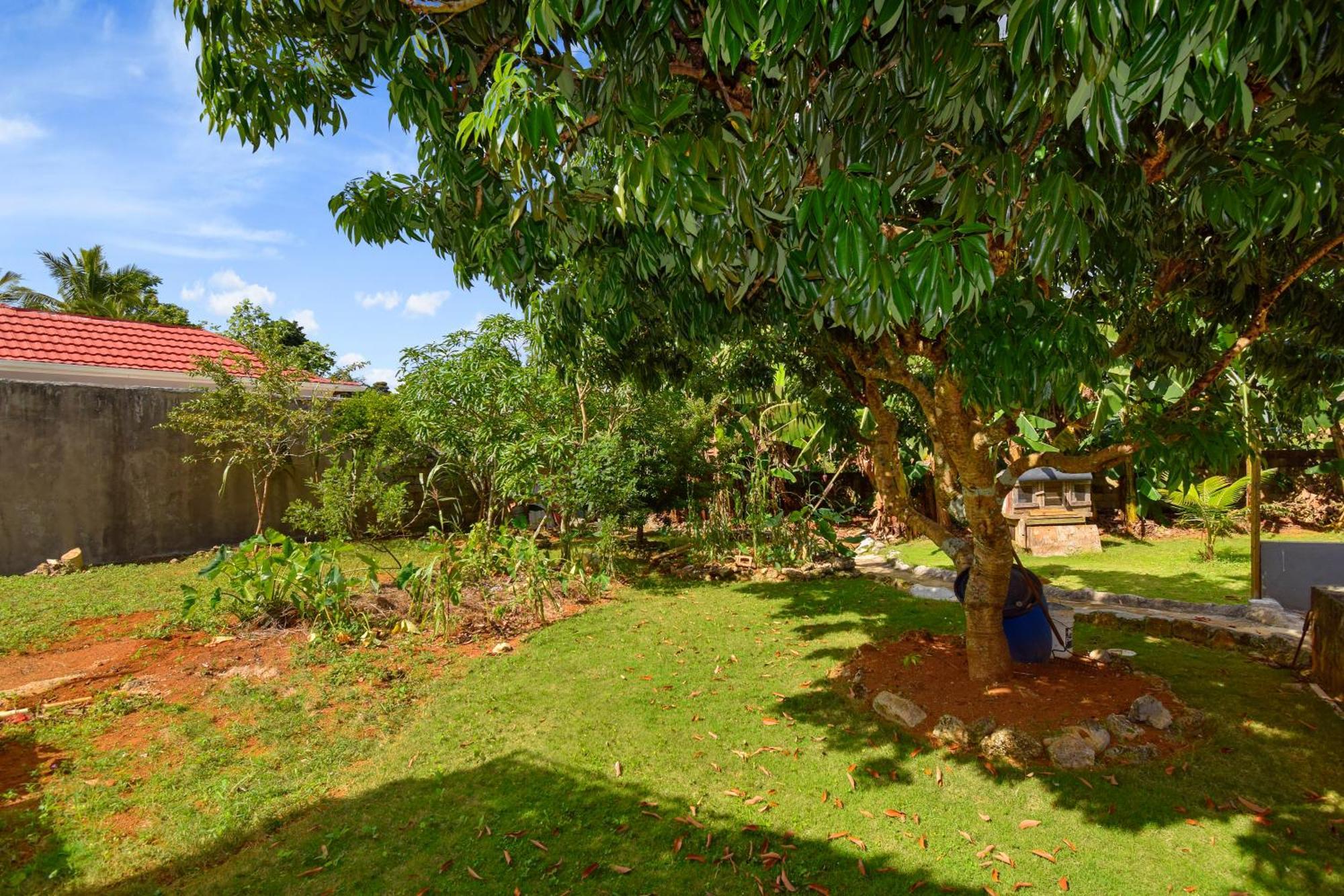 Harriott Heights Apartment Mandeville Bagian luar foto